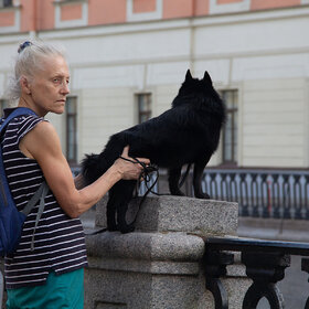 �����- ���������