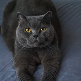 ���� ������!